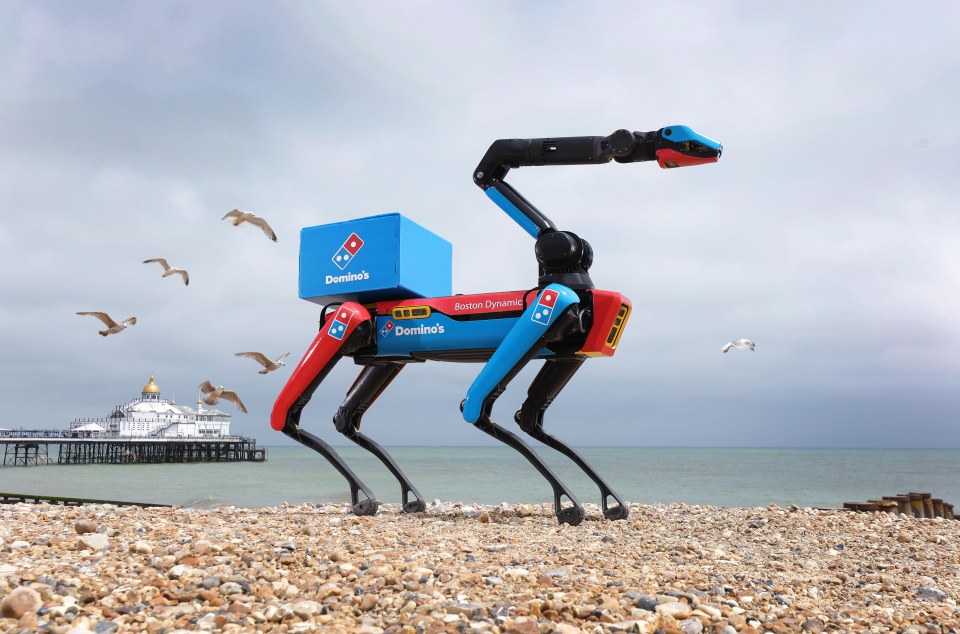 Robo-Dog